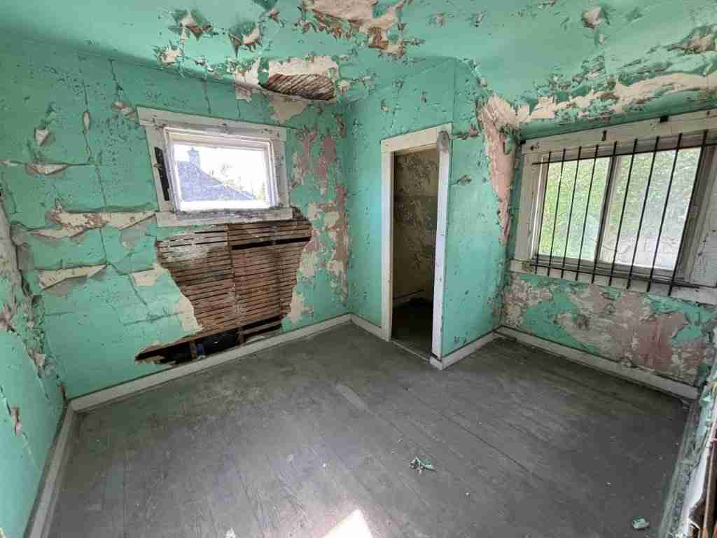 20241017_163050507_iOS (2).jpg